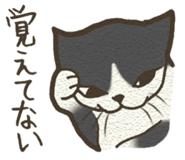 Playful cat and handsome cat. sticker #4249371