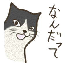 Playful cat and handsome cat. sticker #4249372