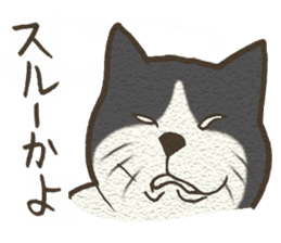 Playful cat and handsome cat. sticker #4249373