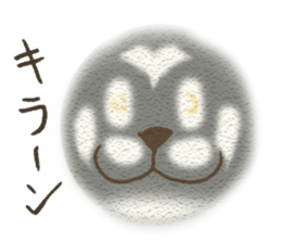 Playful cat and handsome cat. sticker #4249374