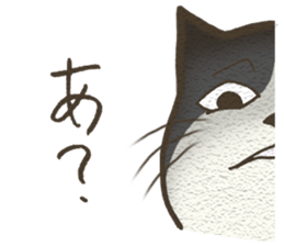 Playful cat and handsome cat. sticker #4249375