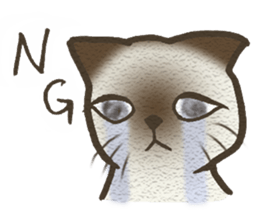 Playful cat and handsome cat. sticker #4249381