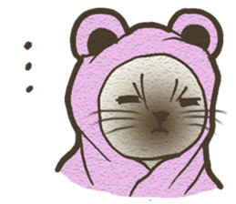 Playful cat and handsome cat. sticker #4249382