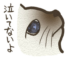 Playful cat and handsome cat. sticker #4249383