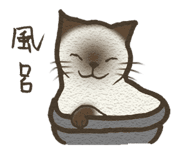 Playful cat and handsome cat. sticker #4249385