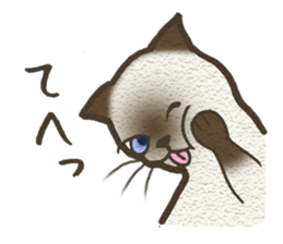 Playful cat and handsome cat. sticker #4249386