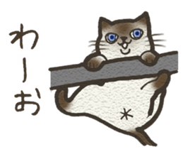 Playful cat and handsome cat. sticker #4249388