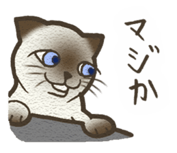 Playful cat and handsome cat. sticker #4249389