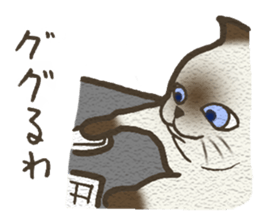 Playful cat and handsome cat. sticker #4249393