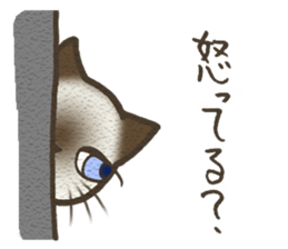 Playful cat and handsome cat. sticker #4249394