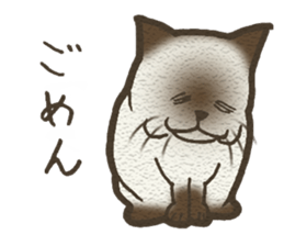 Playful cat and handsome cat. sticker #4249395