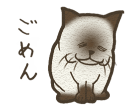 Playful cat and handsome cat. sticker #4249395