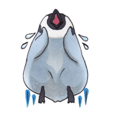 Pretty Baby Penguin! sticker #4249462