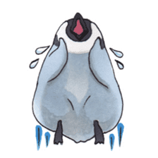 Pretty Baby Penguin! sticker #4249462