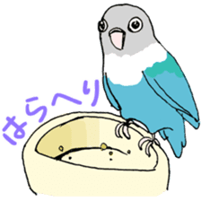 love blue bird sticker #4255243