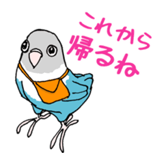 love blue bird sticker #4255250