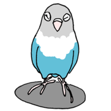 love blue bird sticker #4255254