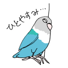 love blue bird sticker #4255266