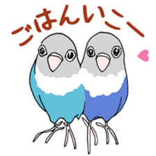 love blue bird sticker #4255279