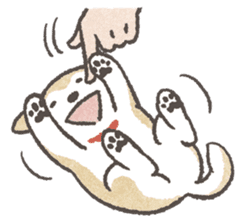 Shiba-Puppy! sticker #4256561