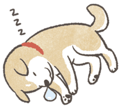 Shiba-Puppy! sticker #4256565