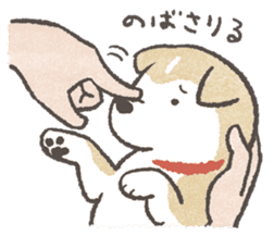 Shiba-Puppy! sticker #4256570