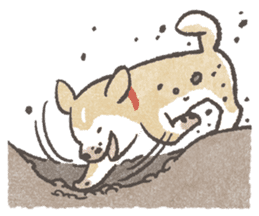 Shiba-Puppy! sticker #4256571