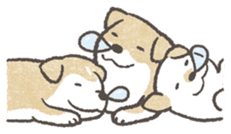 Shiba-Puppy! sticker #4256573