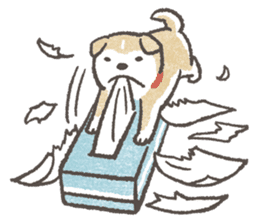 Shiba-Puppy! sticker #4256579
