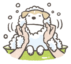 Shiba-Puppy! sticker #4256582