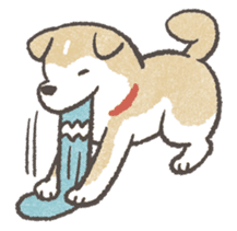 Shiba-Puppy! sticker #4256595