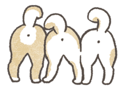 Shiba-Puppy! sticker #4256599