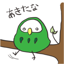 green owl2 sticker #4256743