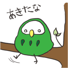green owl2 sticker #4256743