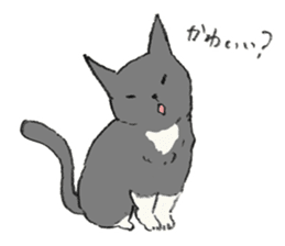 Tail Corgi and black cat and its friends sticker #4258091