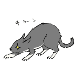Tail Corgi and black cat and its friends sticker #4258095