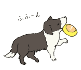Tail Corgi and black cat and its friends sticker #4258109