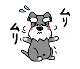 Miniature Schnauzer, Shizukutan. sticker #4259264
