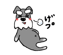 Miniature Schnauzer, Shizukutan. sticker #4259270