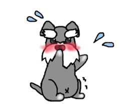 Miniature Schnauzer, Shizukutan. sticker #4259278
