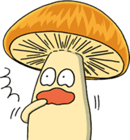 Daily mushroom 3 sticker #4259638