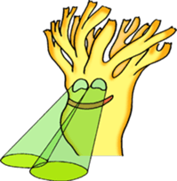 Daily mushroom 3 sticker #4259639