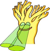 Daily mushroom 3 sticker #4259639