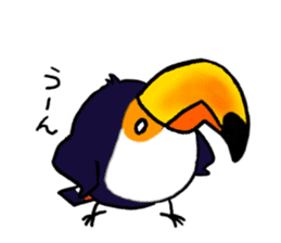 Hekotare Toco Toucan 2 -for everyday- sticker #4264580