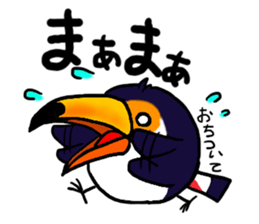 Hekotare Toco Toucan 2 -for everyday- sticker #4264586