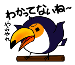 Hekotare Toco Toucan 2 -for everyday- sticker #4264588