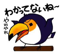 Hekotare Toco Toucan 2 -for everyday- sticker #4264588