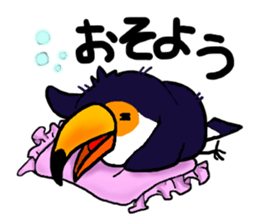 Hekotare Toco Toucan 2 -for everyday- sticker #4264590