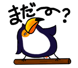 Hekotare Toco Toucan 2 -for everyday- sticker #4264594