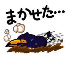 Hekotare Toco Toucan 2 -for everyday- sticker #4264597